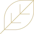 Vector